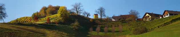 weingut südsteiermark